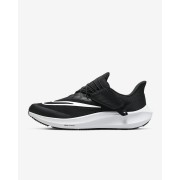 Nike Pegasus FlyEase Mens Easy On/Off Road Running Shoes DJ7381-001