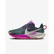 Nike Pegasus Trail 5 Womens Trail Running Shoes DV3865-401