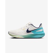 Nike Structure 25 Mens Road Running Shoes DJ7883-008