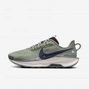 Nike Pegasus Trail 5 Mens Trail Running Shoes DV3864-300