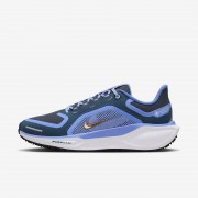 Nike Pegasus 41 GORE-TEX Womens Waterproof Road Running Shoes FQ1357-400