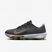 Nike Air Zoom Infinity Tour 2 Golf Shoes (Wide) FD0218-003