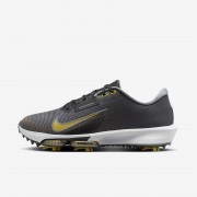 Nike Infinity Tour 2 Golf Shoes FD0217-003