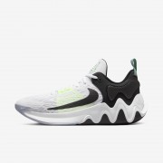 Nike Giannis Immortality 2 Basketball Shoes DM0825-101