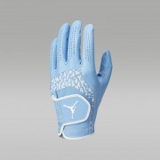 Nike Jordan Tour Regular Golf Glove (Left Regular) J1008185-477