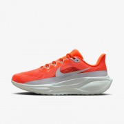 Nike Pegasus 41 Premium Womens Road Running Shoes FZ1626-800