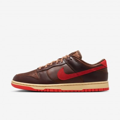 Nike Dunk Low Retro Mens Shoes HQ3448-262