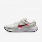 Nike Structure 24 Mens Road Running Shoes DA8535-010